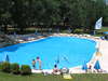 Dolphin Hotel 